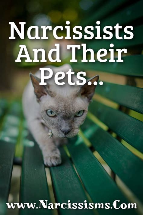 narcissists and pets